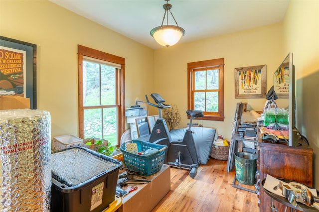 interior space with a healthy amount of sunlight and light wood finished floors