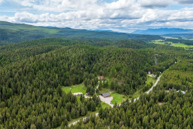 6710 Farm To Market Rd, Whitefish, MT 59937 - bird's eye view of a forest and a mountain backdrop