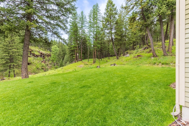 6710 Farm To Market Rd, Whitefish, MT 59937 - view of grassy yard