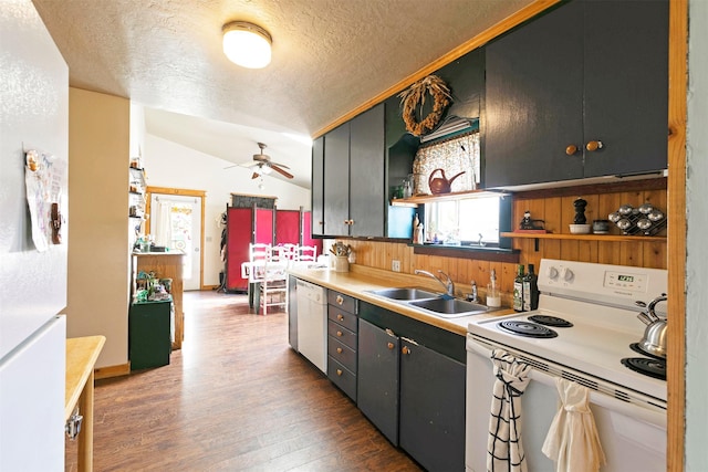 kitchen with plenty of natural light, a sink, a textured ceiling, and white appliances