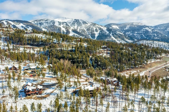 mountain view
