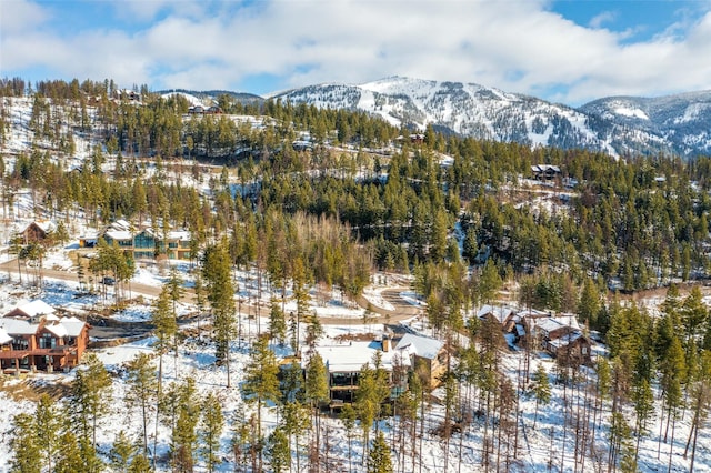 view of mountain feature featuring a view of trees