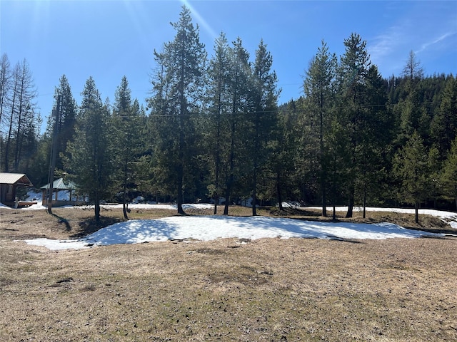 557 Crows Nest Main St, Haugan, MT 59842 - view of yard featuring a wooded view