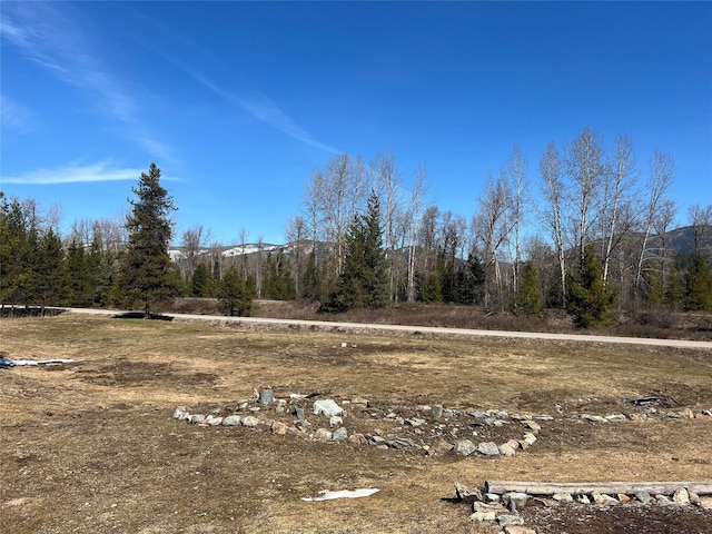 557 Crows Nest Main St, Haugan, MT 59842 - view of yard