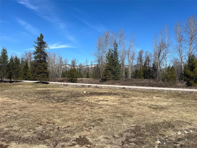 557 Crows Nest Main St, Haugan, MT 59842 - view of landscape