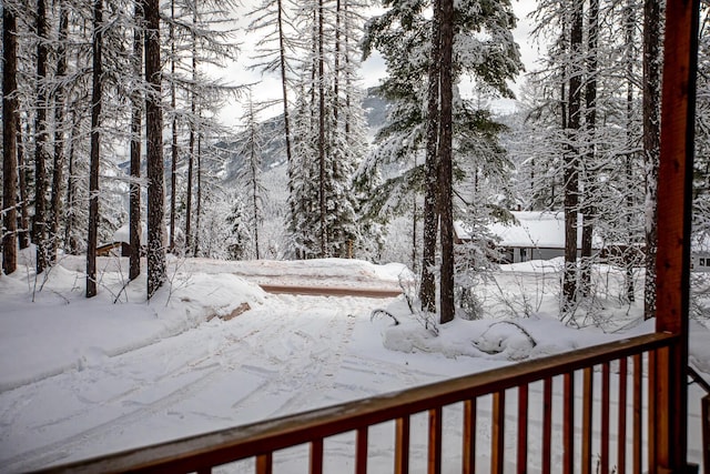 view of yard covered in snow