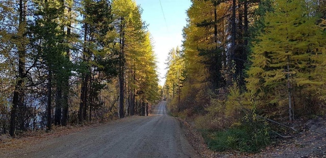 5915 N Ashley Lake Rd, Kila, MT 59920