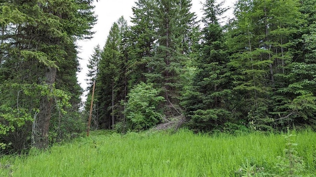 5915 N Ashley Lake Rd, Kila, MT 59920