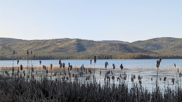 5915 N Ashley Lake Rd, Kila, MT 59920