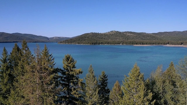 5915 N Ashley Lake Rd, Kila, MT 59920