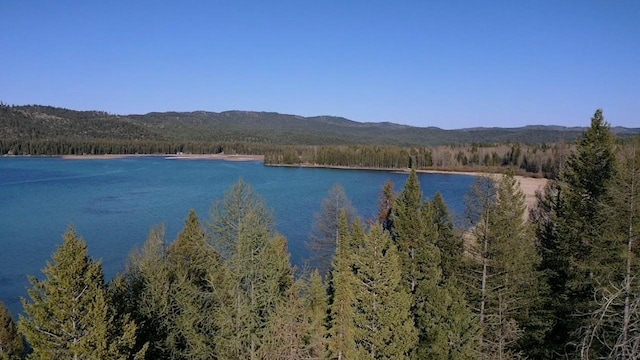 5915 N Ashley Lake Rd, Kila, MT 59920