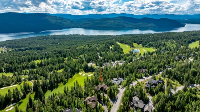 birds eye view of property featuring a forest view and a water and mountain view