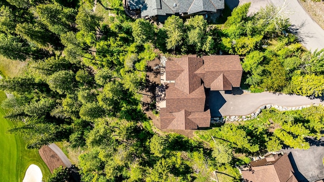 drone / aerial view