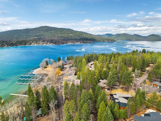 14 Marina Crest Ln, Whitefish, MT 59937 - drone / aerial view with a water and mountain view and a view of trees