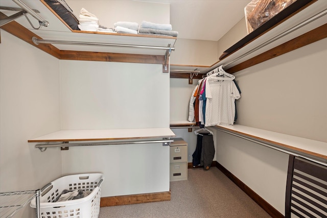 14 Marina Crest Ln, Whitefish, MT 59937 - walk in closet with carpet