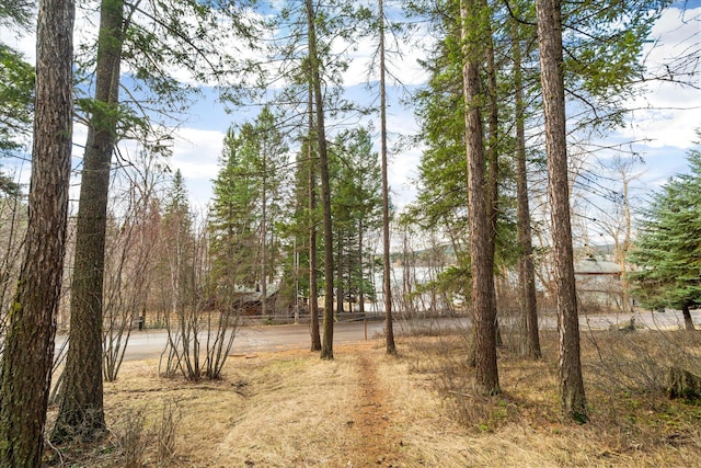 14 Marina Crest Ln, Whitefish, MT 59937 - view of landscape
