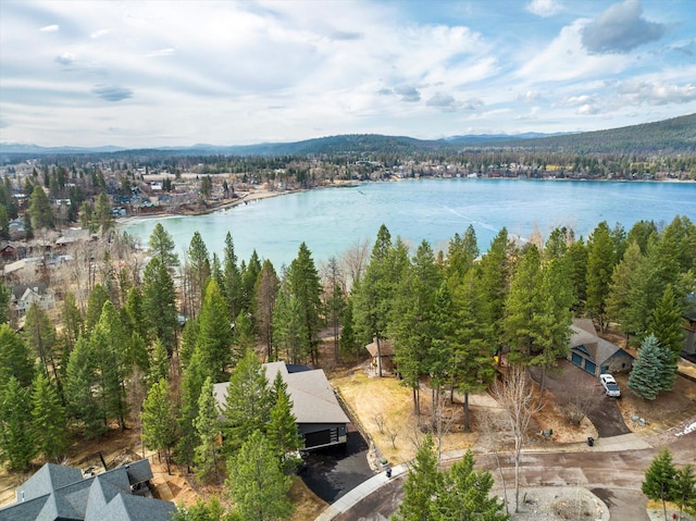 14 Marina Crest Ln, Whitefish, MT 59937 - birds eye view of property with a water view and a view of trees