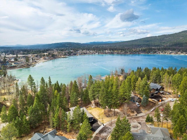 14 Marina Crest Ln, Whitefish, MT 59937 - bird's eye view featuring a water and mountain view and a wooded view