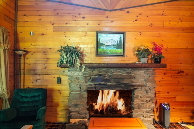 living area with a fireplace and wood walls