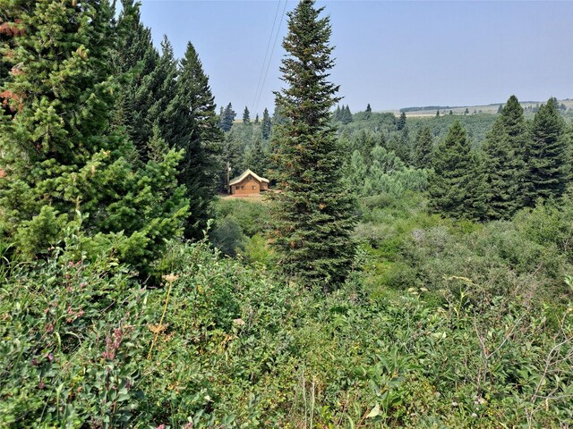 view of landscape featuring a forest view