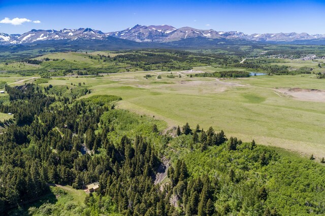 drone / aerial view featuring a mountain view