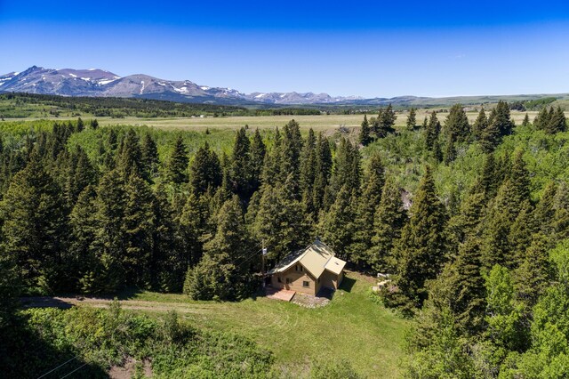 drone / aerial view with a mountain view