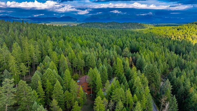 drone / aerial view featuring a forest view and a mountain view