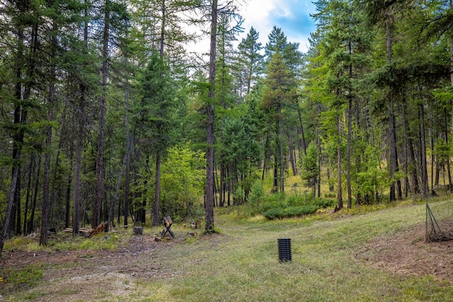 145 Little Mountain Ln, Whitefish, MT 59937 - view of tree filled area