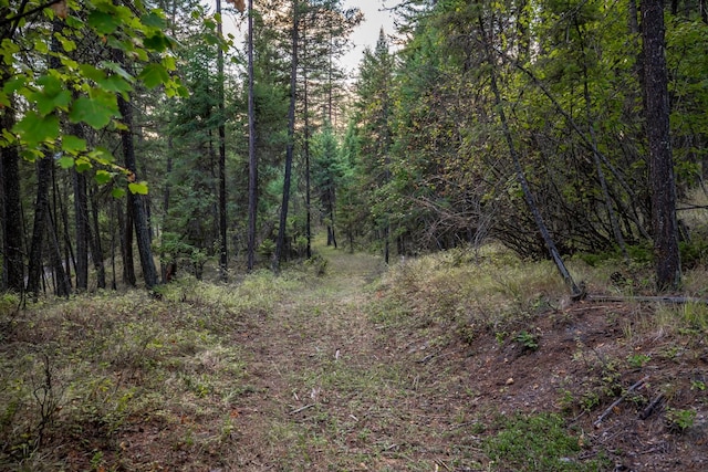 view of nature featuring a forest view