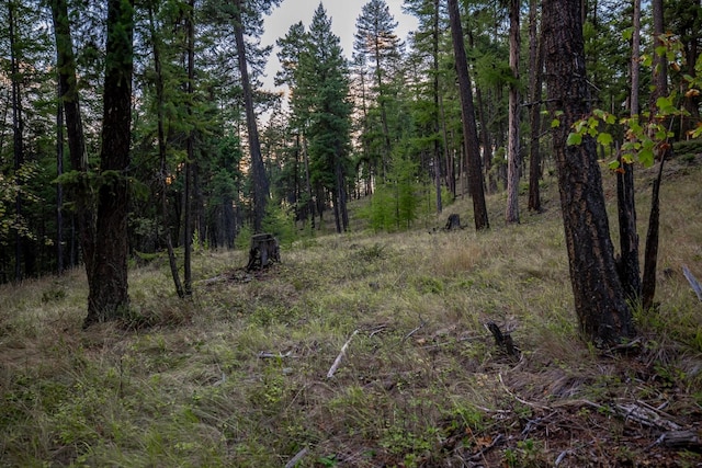 view of local wilderness featuring a forest view