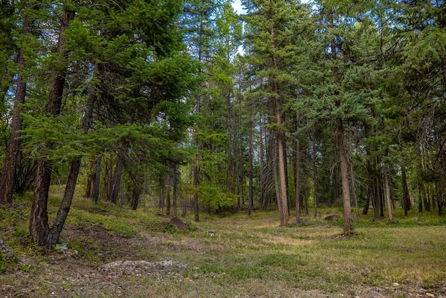 view of landscape with a wooded view