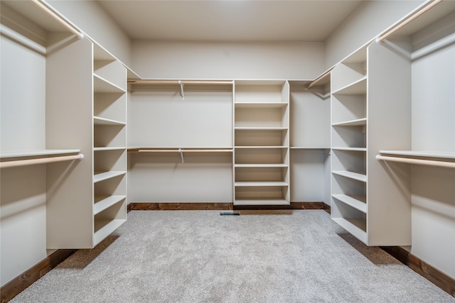 spacious closet featuring carpet flooring