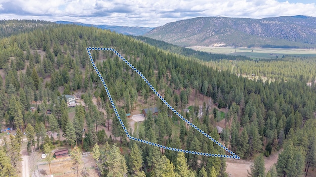 drone / aerial view with a mountain view and a wooded view