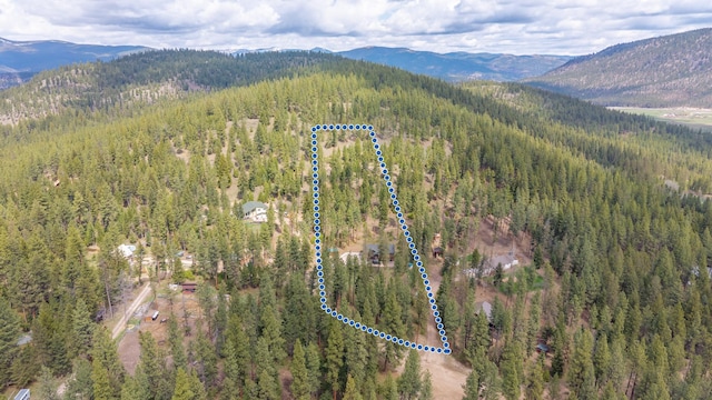 drone / aerial view with a mountain view and a wooded view