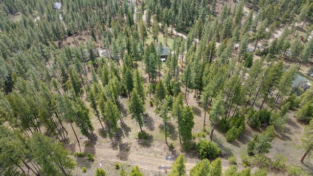 drone / aerial view featuring a rural view