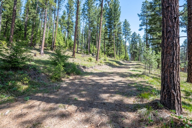 view of street with a forest view