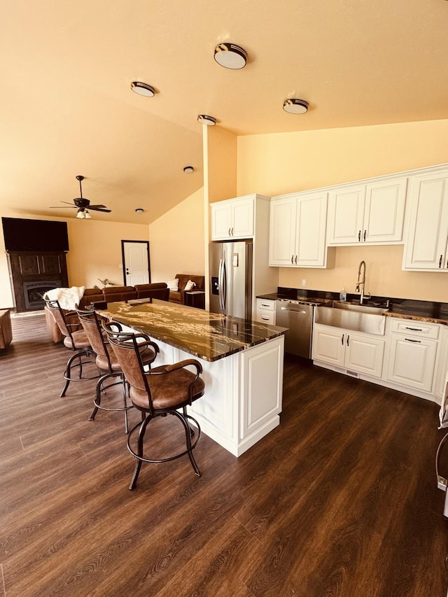 29 Shoreline Dr, Thompson Falls, MT 59873 - kitchen featuring appliances with stainless steel finishes, vaulted ceiling, a sink, a fireplace, and dark wood-style floors