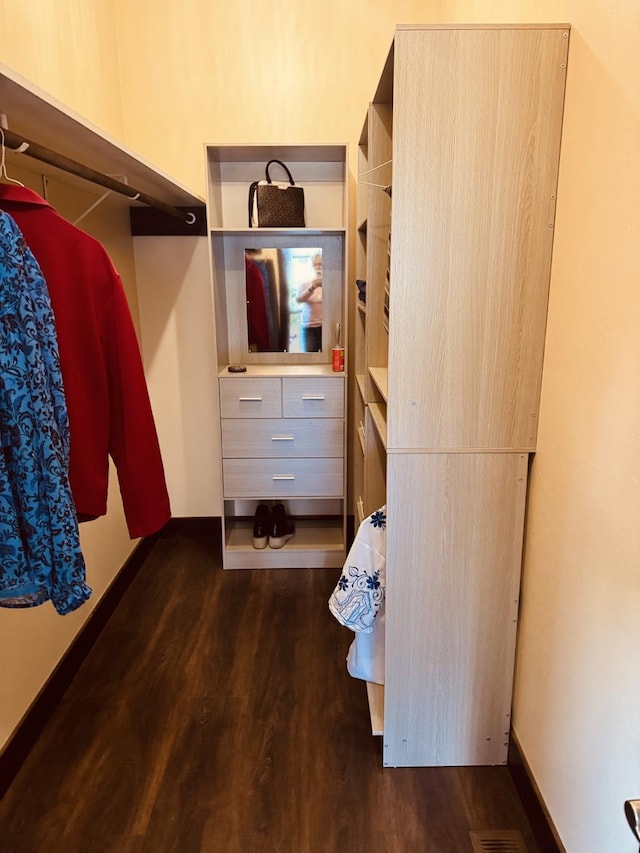 29 Shoreline Dr, Thompson Falls, MT 59873 - spacious closet featuring dark wood finished floors