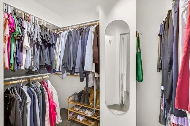 2301 Larkspur Ln, Great Falls, MT 59404 - view of spacious closet