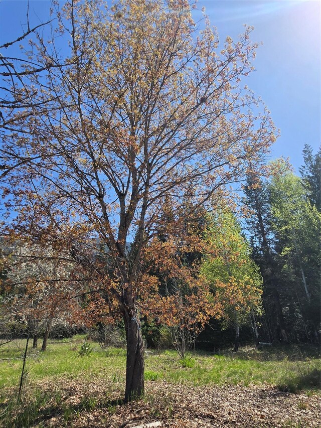 8 Dead Horse Ln, Heron, MT 59844