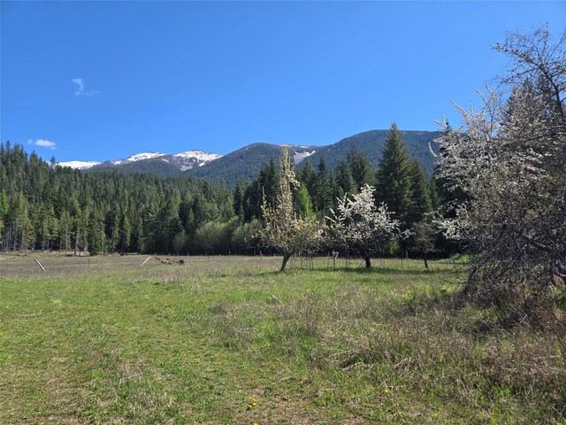 8 Dead Horse Ln, Heron, MT 59844