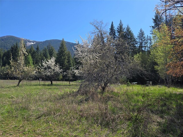 8 Dead Horse Ln, Heron, MT 59844