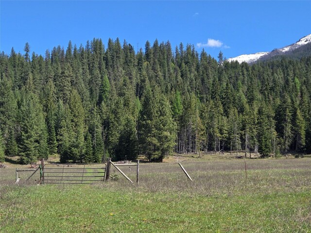 8 Dead Horse Ln, Heron, MT 59844