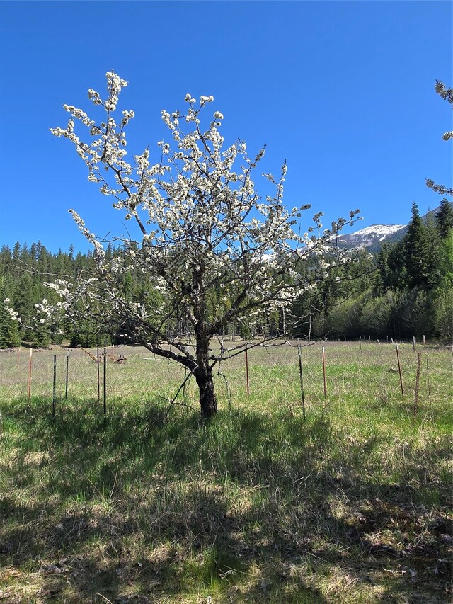 8 Dead Horse Ln, Heron, MT 59844