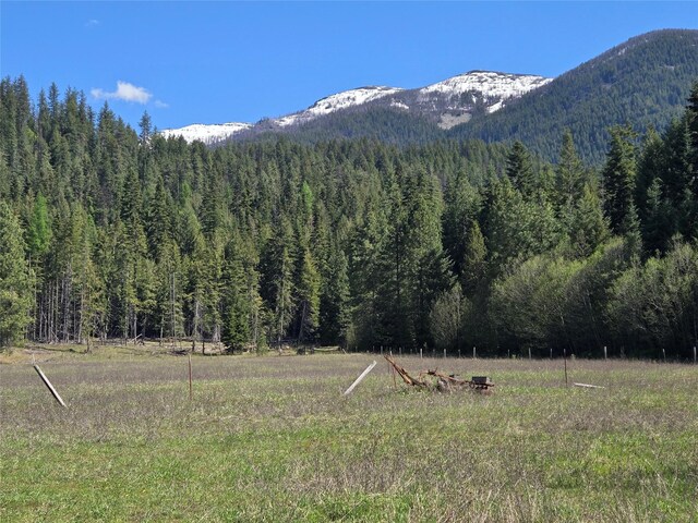 8 Dead Horse Ln, Heron, MT 59844