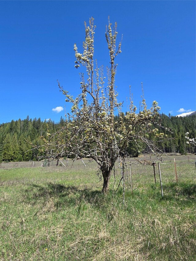 8 Dead Horse Ln, Heron, MT 59844
