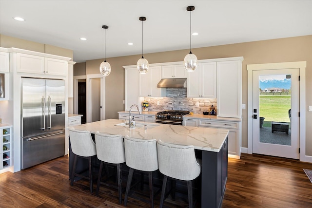 kitchen featuring dark wood-type flooring, under cabinet range hood, tasteful backsplash, a sink, and appliances with stainless steel finishes