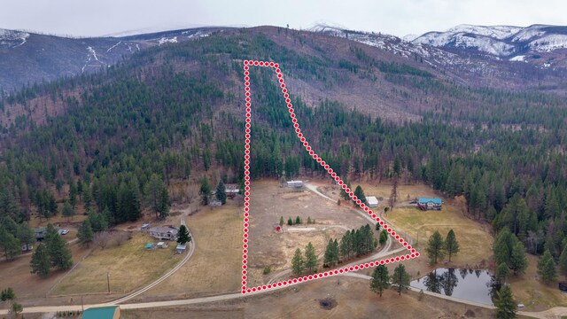 13060AND13080 Severin Meadows Trl, Lolo, MT 59847