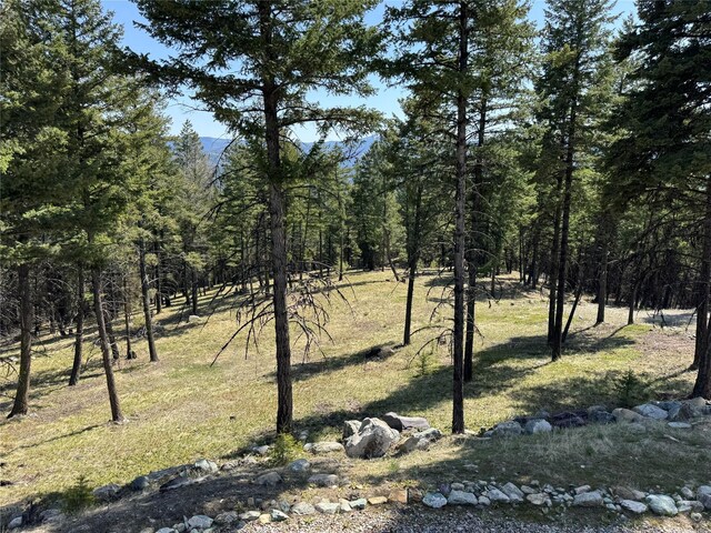 view of yard with a view of trees