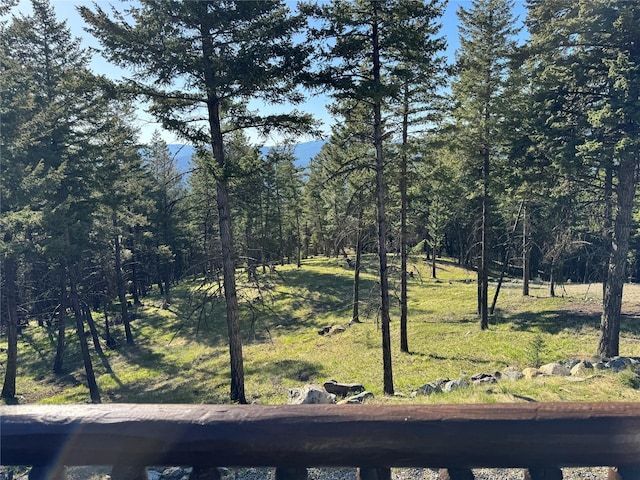 view of yard featuring a wooded view